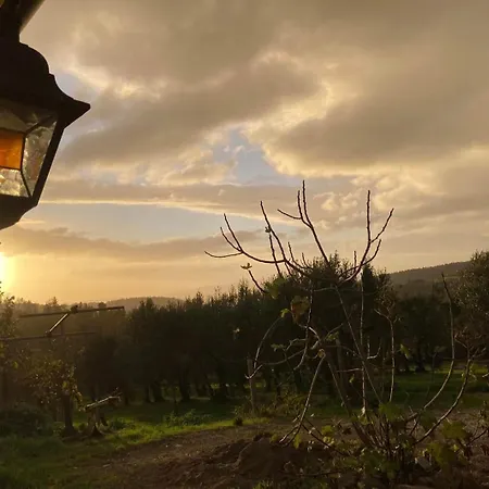 Poderino Di Santa Lucia 公寓 *